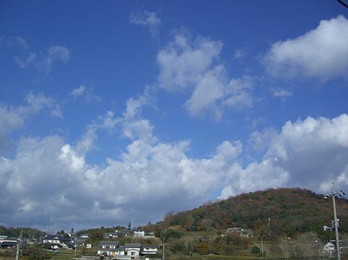 澄んだ冬の空気は凛として清々しいですね